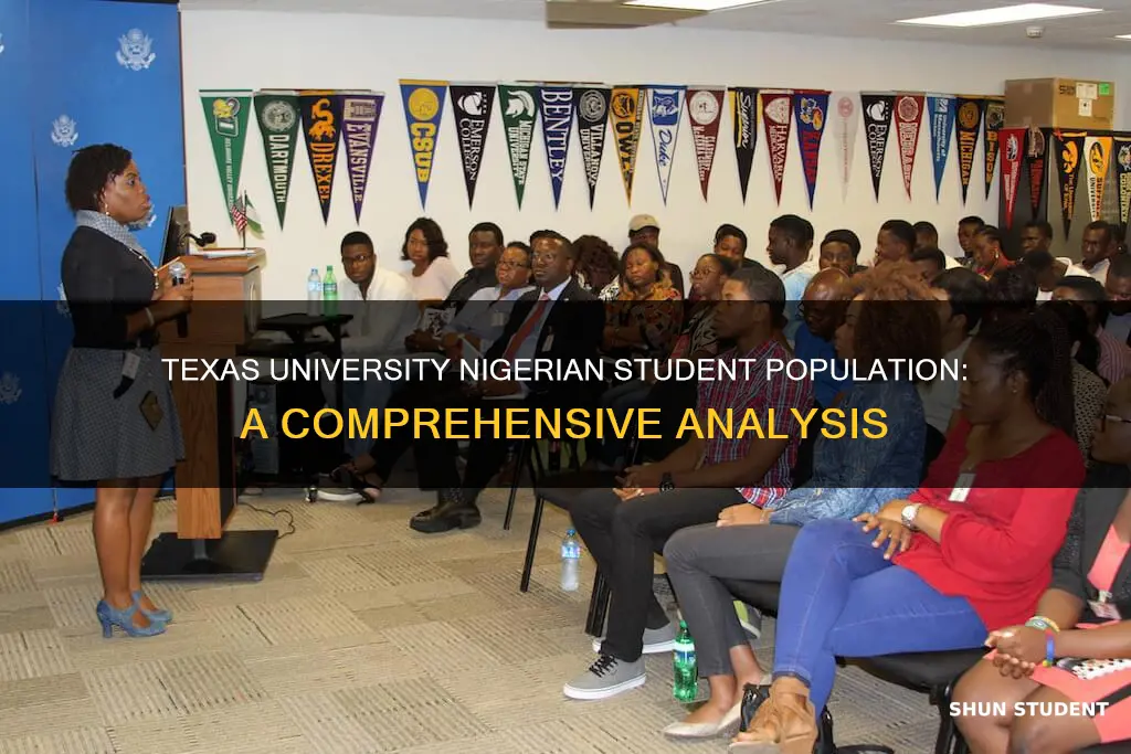 what university in texas has the most nigerian students