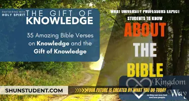University Bible Study: Professors' Expectations Unveiled
