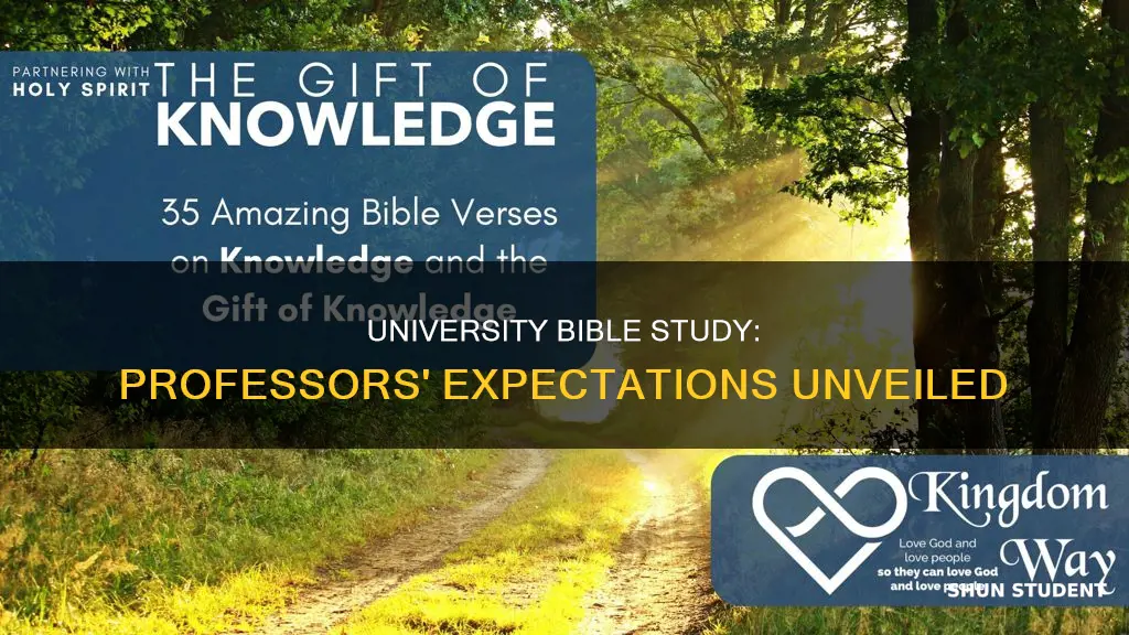 what university professors expect students to know about the bible