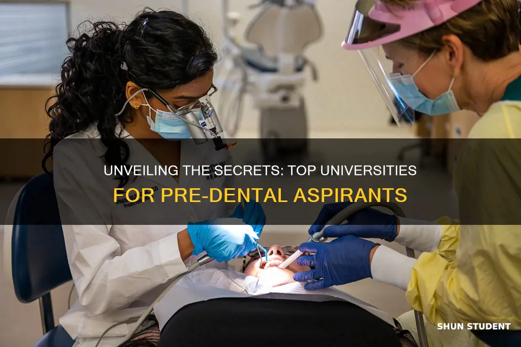 what university would i get into for pre dental students