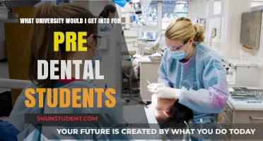 Best Universities for Aspiring Dentists: Where to Apply?