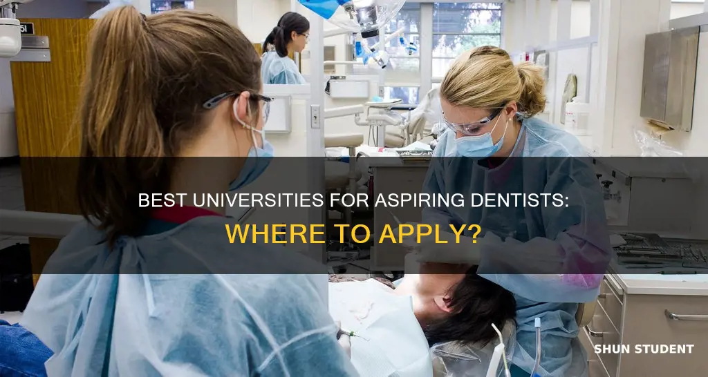 what university would i get into for pre dental students
