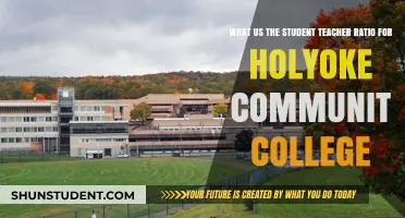 Exploring Holyoke Community College's Student-Teacher Ratio: What You Need to Know
