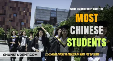 US Universities: Chinese Student Hubs