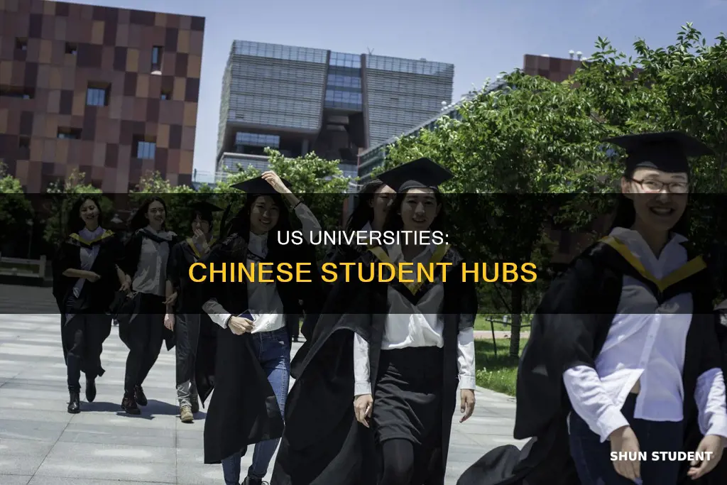 what us university have the most chinese students