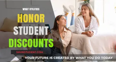 Unlock Savings: Utilities Offering Student Discounts Nationwide