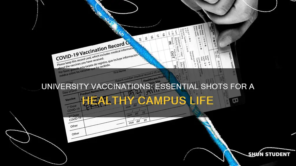 what vaccinations do university students need