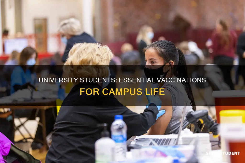 what vaccinations do university students need