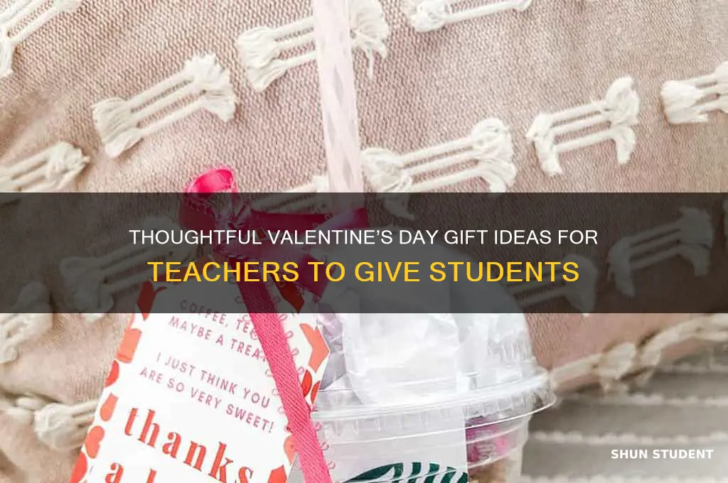 what valentine can teacher give to student