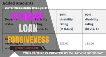 Veteran Disability Ratings: Which Qualify for Student Loan Forgiveness?