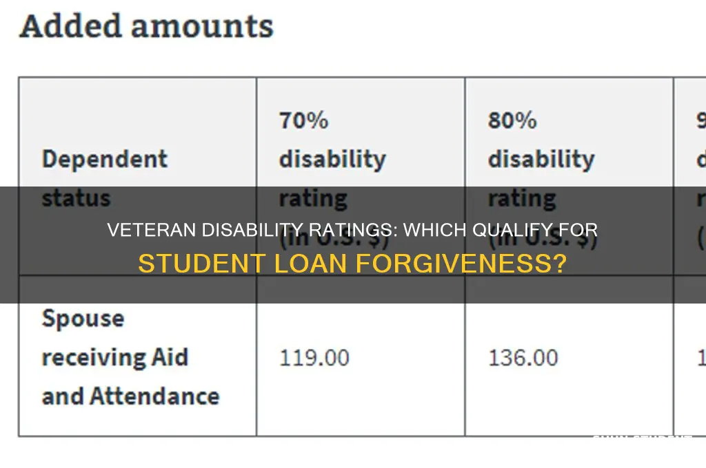 what veteran disability rating qualify for student loan forgiveness