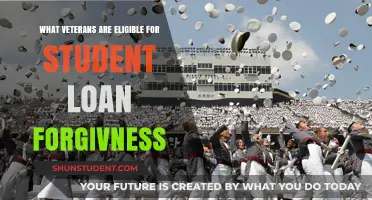 Veterans' Guide: Student Loan Forgiveness Eligibility and Benefits Explained