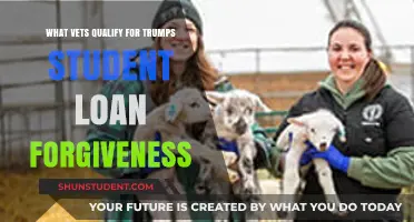 Trump's Student Loan Forgiveness: Which Vets Are Eligible?