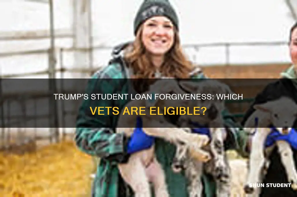 what vets qualify for trumps student loan forgiveness