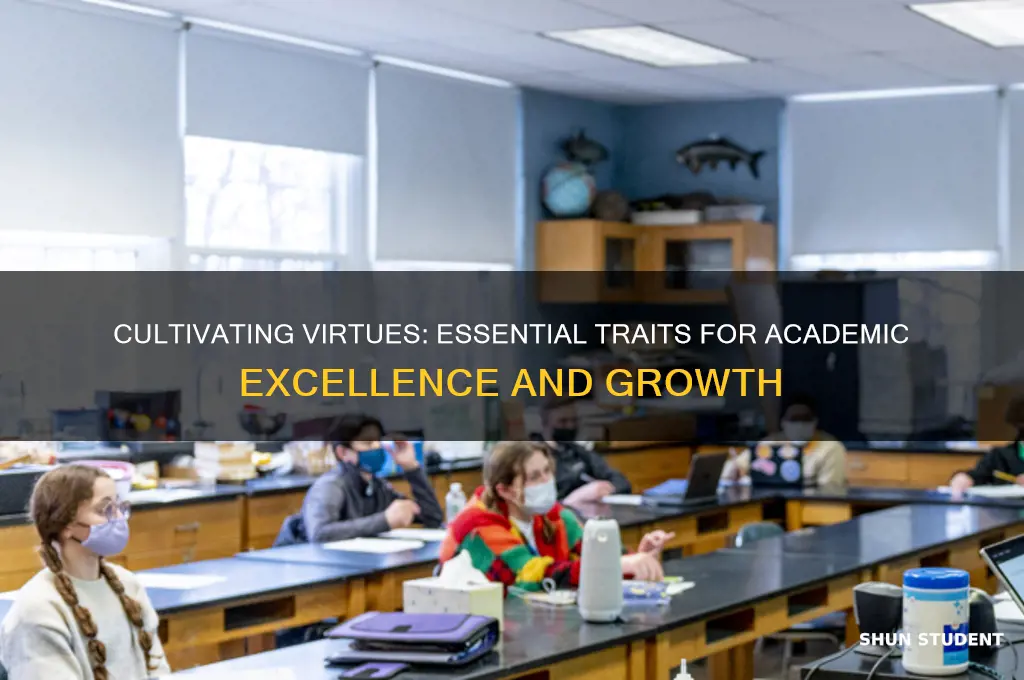 what virtues will make me a good student