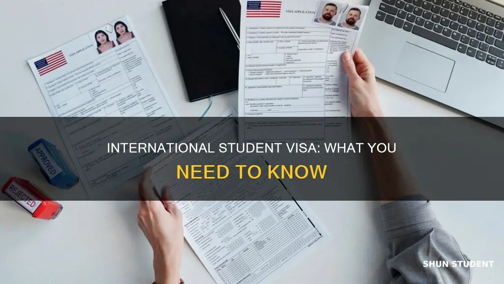 what visa does internation student apply