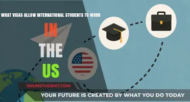 International Student Work Visas: Which Options are Available?
