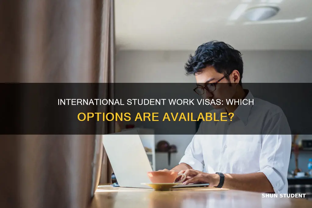 what visas allow international students to work in the us
