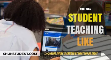 Student Teaching Reflections: Challenges, Growth, and Unforgettable Classroom Experiences