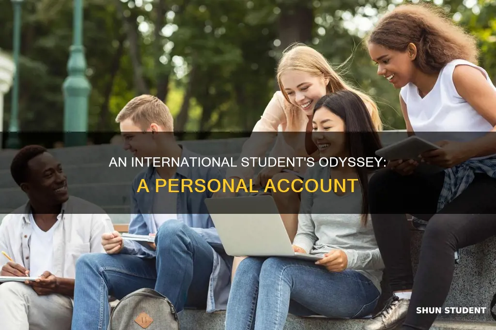 what was the experience of an international student like
