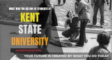 Kent State's Tragic Day: Unraveling the Story of Student Killings