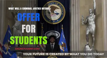 Criminal Justice Internships: Real-World Experience, Career Opportunities