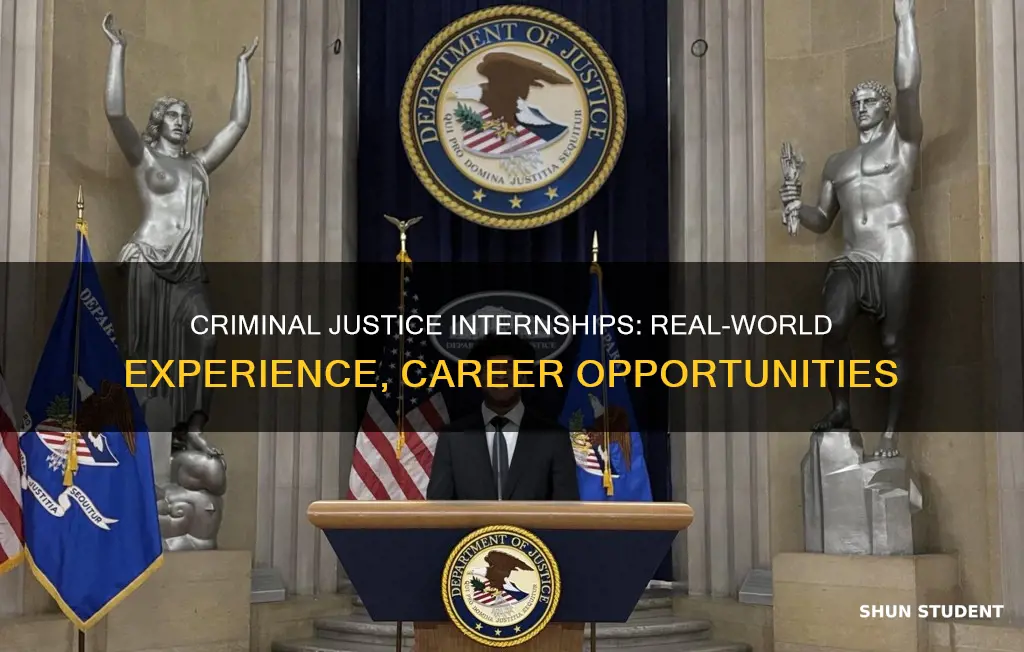 what will a criminal justice intern offer for students