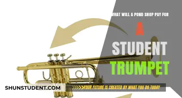 Pawn Shop Trumpet Trade-Ins: How Much Are They Worth?