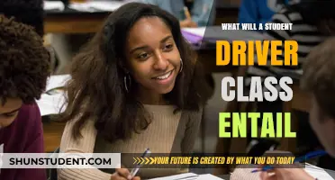 What to Expect in a Student Driver Class: A Comprehensive Guide