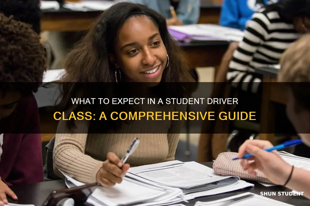 what will a student driver class entail