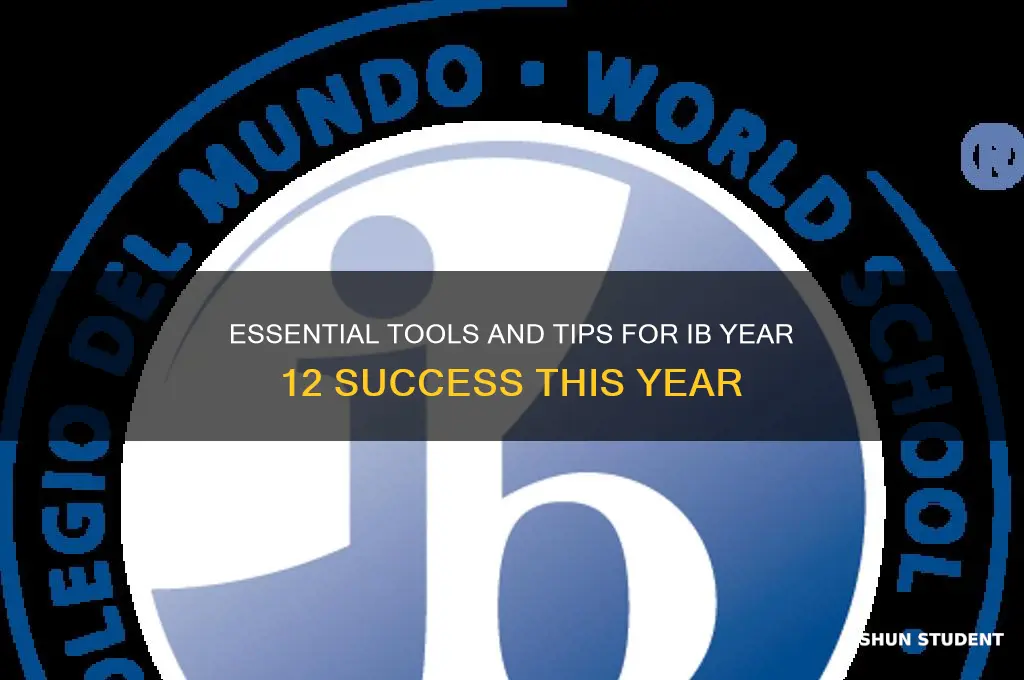 what will an ib year12 student need this year