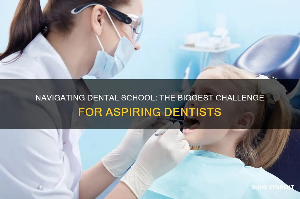 what will be the biggest challenge as a dental student