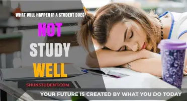 Consequences of Poor Study Habits: Impact on Students' Future Success