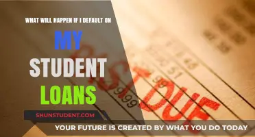 Defaulting on Student Loans: Consequences, Risks, and Recovery Options