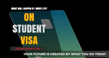 Driving Lyft on a Student Visa: Legal Risks and Consequences Explained