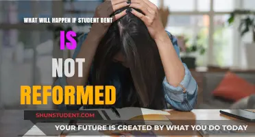 Consequences of Ignoring Student Debt: A Looming Crisis Unresolved