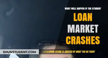 Student Loan Market Crash: Economic Fallout and Borrower Implications Explained