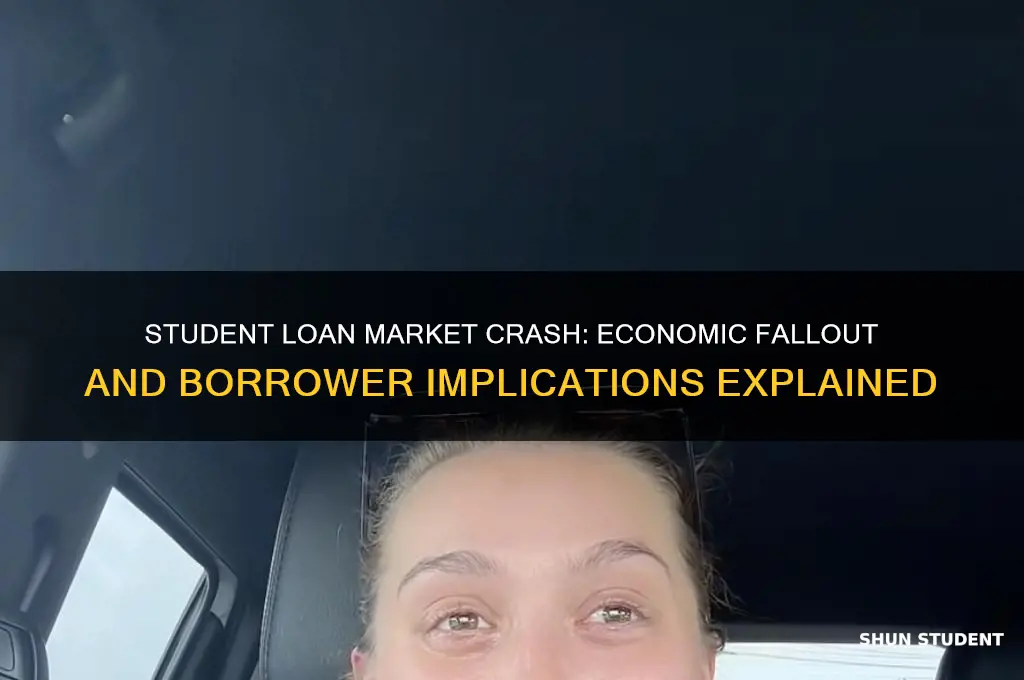 what will happen if the student loan market crashes