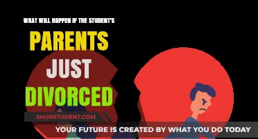 Divorce Impact: How Students Cope When Parents Split