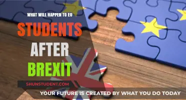 EU Students Post-Brexit: Uncertain Futures and New Challenges Ahead