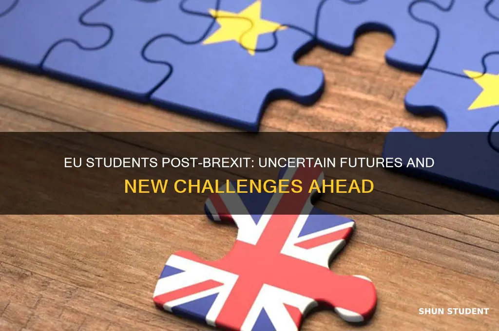 what will happen to eu students after brexit