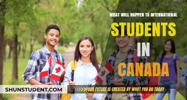 International Students in Canada: What's Their Future?