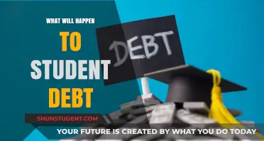 The Future of Student Debt: Challenges, Reforms, and Potential Solutions