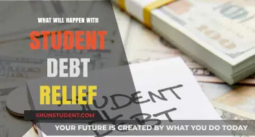 Student Debt Relief: Uncertain Future and Potential Outcomes Explored