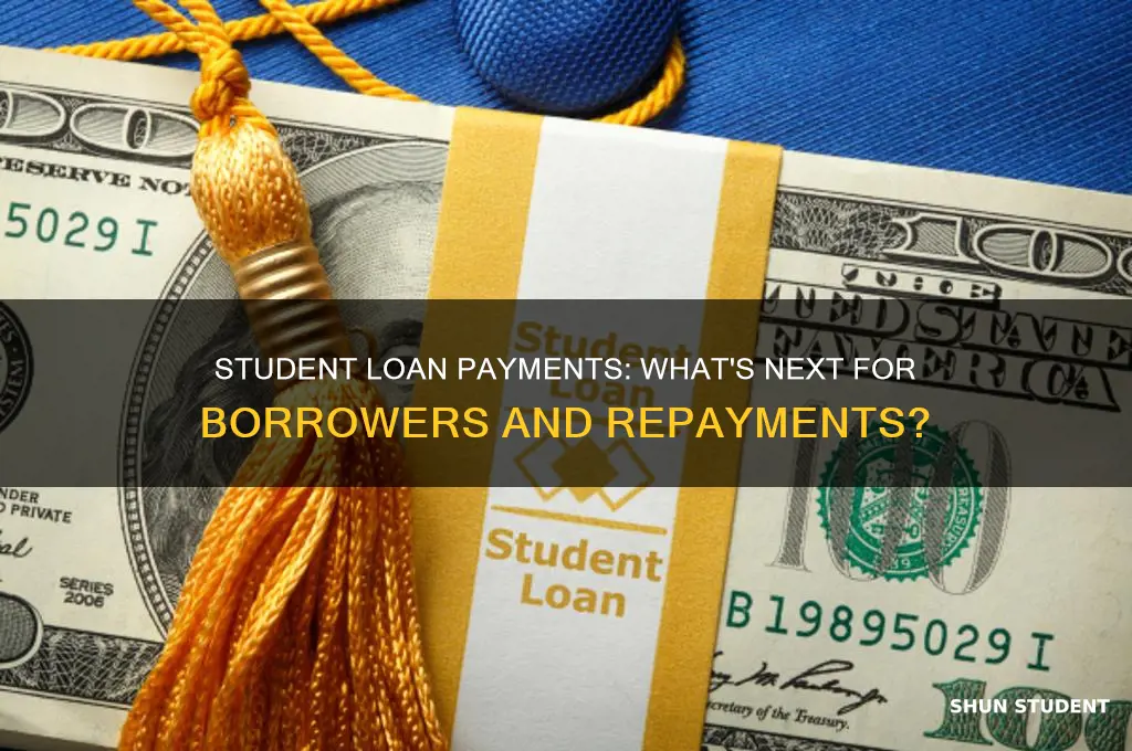 what will happen with student loan payments