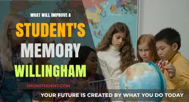Enhancing Student Memory: Willingham's Proven Strategies for Academic Success