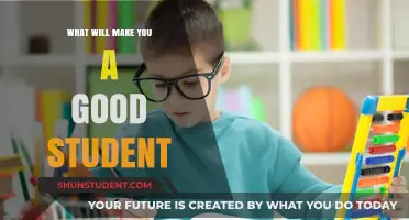 Mastering Success: Key Habits to Become an Exceptional Student