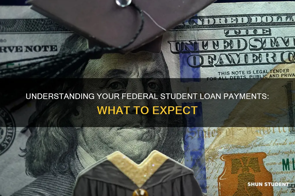 what will my federal student loan payments be