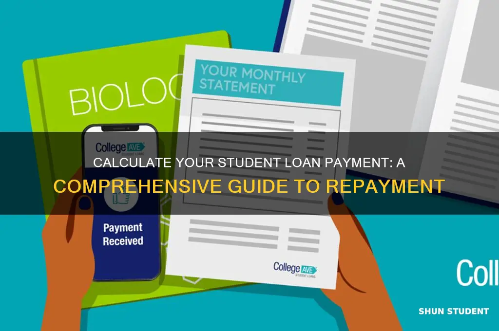 what will my student loan payment be