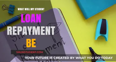 Calculate Your Student Loan Repayment: A Comprehensive Guide to Monthly Payments